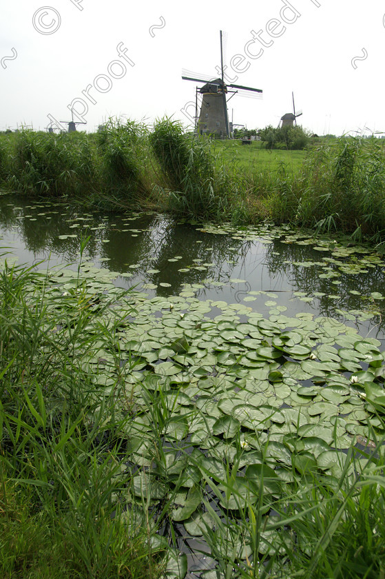 PICT0049 
 Canal and windmills, Kinderdyke, Netherlands 
 Keywords: Landscape, canal, windmills, lillies, Kinderdyke